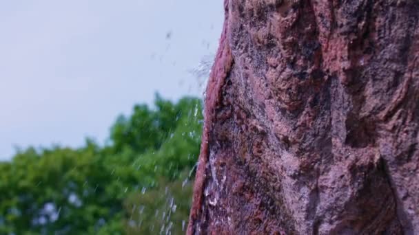 Fels Mit Quellwasser Zeitlupe Bei Rosetta Mcclain Gardens Benannt Nach — Stockvideo