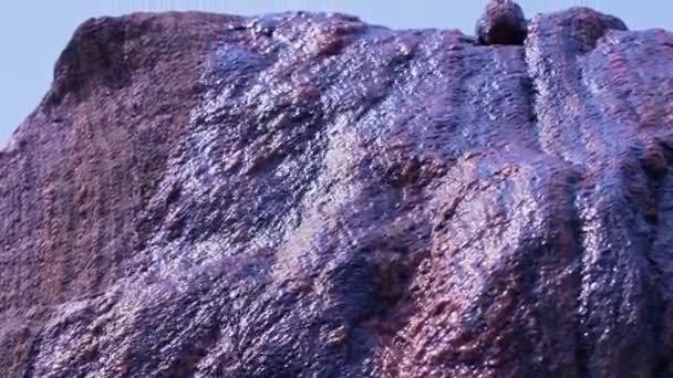 Rock Con Agua Manantial Cámara Lenta Rosetta Mcclain Gardens Nombrado — Vídeos de Stock