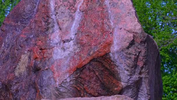 Rock Con Agua Manantial Cámara Lenta Rosetta Mcclain Gardens Nombrado — Vídeo de stock