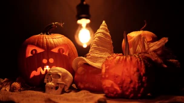 Halloween Pumpor Som Den Svarta Bakgrunden Halloween Och Skörd Set — Stockvideo