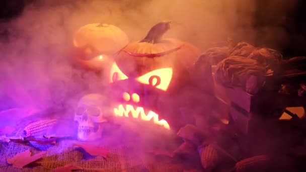 Abóboras Halloween Colheita Fumaça Nevoeiro Feliz Noite Halloween Com Rostos — Vídeo de Stock