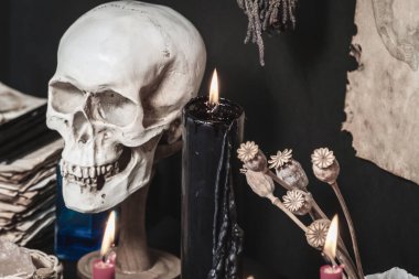 Kara büyü ayini için kuşların tüyleri ve kuzgunların parmakları cadının mihrabında. Kristal bitkilerden, tohumlardan ve kemiklerden oluşan sihirli eşyalar. Büyücülük ayini ve okültizm. 
