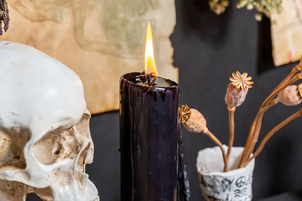 Kara büyü ayini için kuşların tüyleri ve kuzgunların parmakları cadının mihrabında. Kristal bitkilerden, tohumlardan ve kemiklerden oluşan sihirli eşyalar. Büyücülük ayini ve okültizm. 