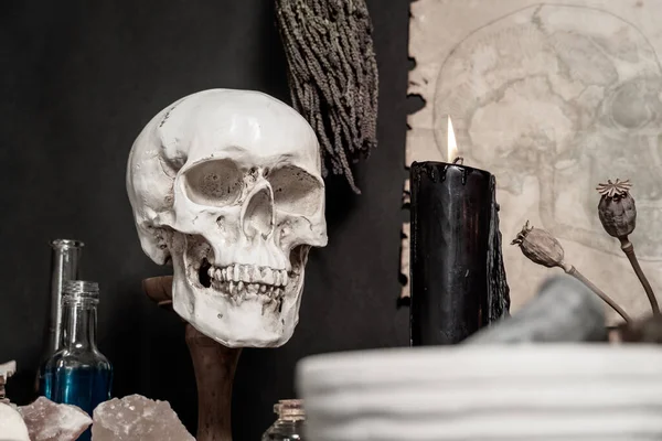 Kara büyü ayini için kuşların tüyleri ve kuzgunların parmakları cadının mihrabında. Kristal bitkilerden, tohumlardan ve kemiklerden oluşan sihirli eşyalar. Büyücülük ayini ve okültizm. 