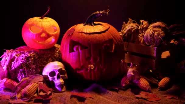 Calabazas Naranjas Halloween Con Velas Parpadeantes Encendidas Horror Fijado Para — Vídeo de stock