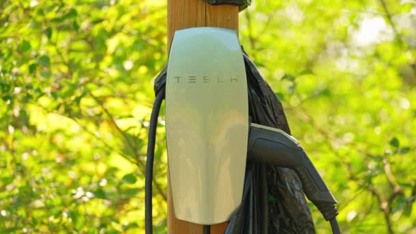 Tesla Charging Station Elektrische Auto Opladen Parkeerplaats Hybride Plug Milieuvriendelijk — Stockvideo