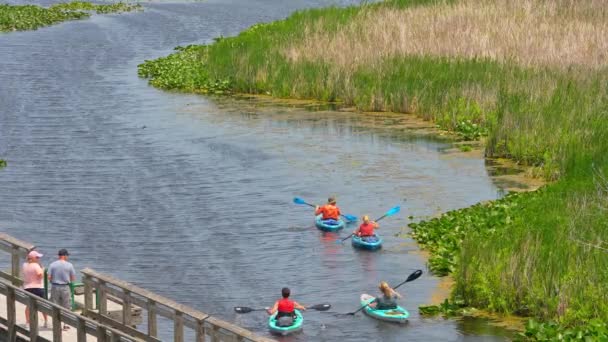 Turistas Remando Kayaks Largo Del Sendero Marsh Boardwalk Mirador Torre — Vídeos de Stock