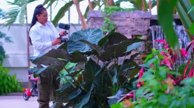 Egzotik orman serasında kadın fotoğrafçı. Yarı profesyonel kadın seyahat fotoğrafçısı doğada yürürken sera yağmur ormanlarında egzotik bitkilerin fotoğraflarını çekiyor..
