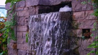 Egzotik orman sera yağmur ormanlarında yapılan yapay şelale. Brampton, Ontario 'daki Gage Park Tropikal Bahçesi' nde bir halk bahçesi. Fotoğraf çekmek ve orman doğasının tadını çıkarmak için popüler bir yer..