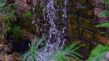 Egzotik orman sera yağmur ormanlarında yapılan yapay şelale. Brampton, Ontario 'daki Gage Park Tropikal Bahçesi' nde bir halk bahçesi. Fotoğraf çekmek ve orman doğasının tadını çıkarmak için popüler bir yer..