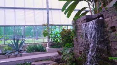 Yapay şelale egzotik ormanlarda ve yemyeşil bitkilerde, sera yağmur ormanlarında yapılır. Brampton, Ontario 'daki Gage Park Tropikal Bahçesi' nde bir halk bahçesi. Fotoğrafçılık için popüler orman noktası.