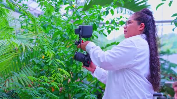 Woman Photographer Exotic Jungle Greenhouse Semi Professional Female Travel Photographer — Stock Video