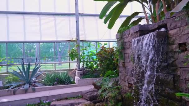 人工瀑布由奇异的丛林和茂密的植物 温室雨林组成 位于安大略省布朗普顿盖奇公园热带花园的公共花园 摄影用的丛林热点 — 图库视频影像