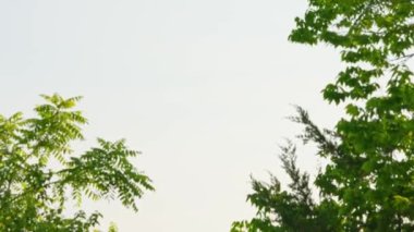 Off-road arabasının arka tarafında ya da modern SUV 'nin bir kısmında yavaş çekim görüntüsü ve Erie Gölü suları, West Beach, Point Peele, Leamington, Ontario, Kanada' ya giden patika. Açık hava maceraları ve keşif gezileri..