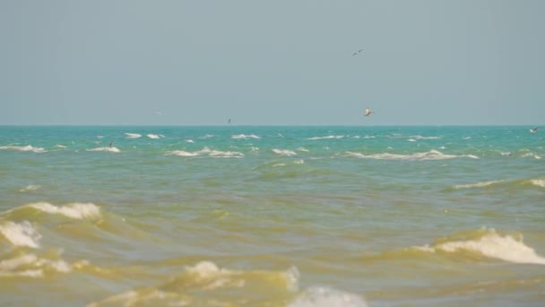 Panoramablick Zeitlupe Auf Den Strand Des Point Pelee Nationalparks Fröhlichen — Stockvideo