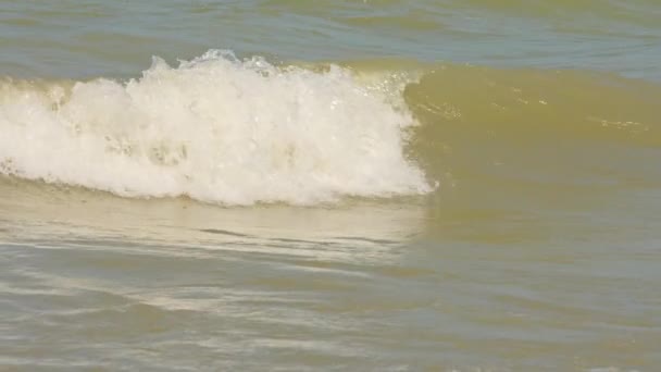 海の波のゆっくりとした動きは砂浜を洗う トロピカルな自然の風景 暑い夏に白い砂浜に向かって揺れる嵐のような泡立った波のゆっくりとしたムード 海の波は熱帯の砂浜の海岸線に来る — ストック動画