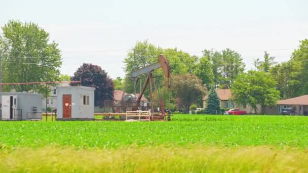 耕地或农场附近的油泵塞 石油工业和原油价格概念 石油钻井在阳光灿烂炎热的夏天进行 矿物燃料 传统能源的提取 — 图库视频影像