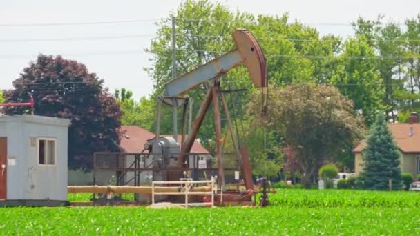 Petrol Pompası Çiftliğin Tarlanın Yakınında Petrol Endüstrisi Ham Petrol Fiyatları — Stok video