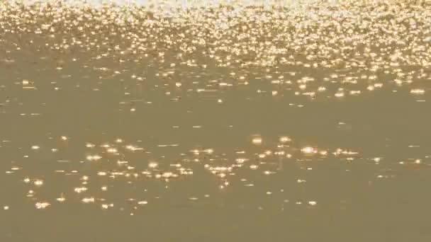 Zeitlupe Abstrakte Natur Sommer Ozean Sonnenuntergang Hintergrund Kleine Wellen Auf — Stockvideo