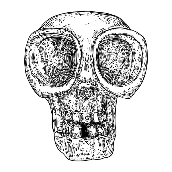 白い背景に孤立したエイリアンの頭蓋骨 手描きするUfo学 Ufoサイエンスフィクションイラスト ベクター — ストックベクタ