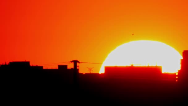 City Skyline Hot Cinematic Sunset Downtown Cityscape Lit Large Warm — Stock Video