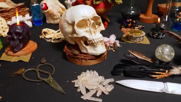 Cráneo Humano Cigarras Criaturas Insectos Para Ritual Enfoque Selectivo Halloween — Vídeos de Stock