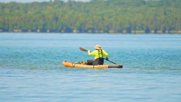 Tourist Woman Paddling Sup Board Sunny Summer Day Active Sport — Stock video