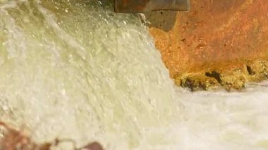 Somon balıkları yüzüyor ve atlayan şelaleler, yavaş çekim. Chinook somonu Ganaraska Nehri, Corbett Barajı, Port Hope, Ontario, Kanada 'da yumurtlayıp göç etmiş. Somon yumurtlamak için koşar..