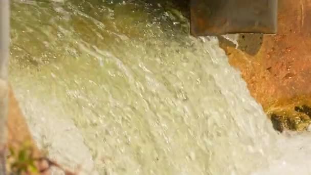 鲑鱼产卵 成年鲑鱼返回其自然的淡水栖息地产卵 鱼逆流而上 逆流而上 甘特卡河 科贝特大坝 希望港 安大略省 — 图库视频影像