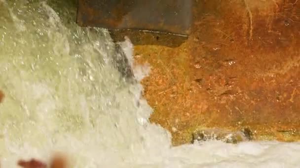 大麻哈鱼缓慢地沿着甘特卡河上游向产卵地迁移 用大块鲑鱼鱼产卵的瀑布 加拿大安大略省希望港Corbett大坝 — 图库视频影像