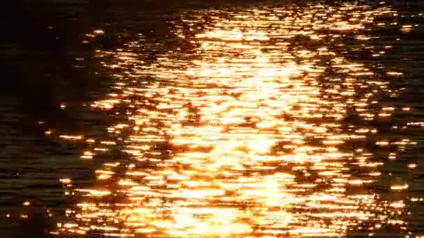 太陽の下で黄色とオレンジ色の湖マニョウォーターで焦点シフト 太陽が漏れる黄金の時間は反射し 水の波に輝きます マニトーリン島 スローモーション — ストック動画