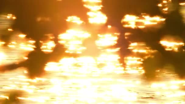 Schwerpunktverschiebung Bei Atemberaubender Herbstsonnenuntergangsschönheit Der Kanadischen Natur Zur Goldenen Stunde — Stockvideo