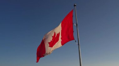 National flag of Canada waving in Toronto, Ontario, Canada for honour. Canadian flag flies at mast.