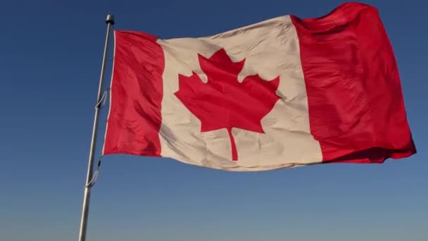 National Flag Canada Canadian Flag Slow Motion Mast Toronto City — Wideo stockowe