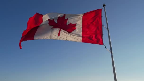 National Flag Canada Canadian Flag Slow Motion Mast Toronto City — Wideo stockowe