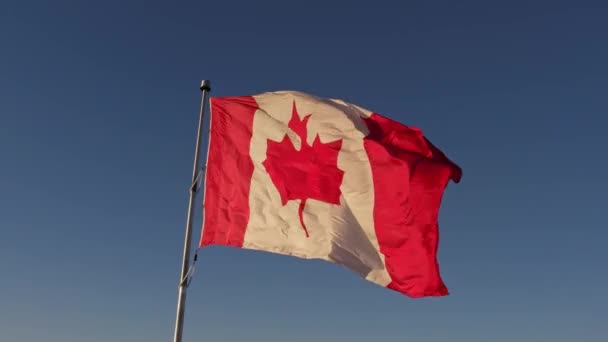 幸せなカナダ市民愛国者の概念 青い曇りの空 黄金の時間の太陽でカナダの旗 — ストック動画
