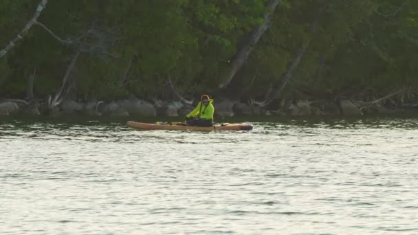 Tourist Woman Paddling Exploring Sup Board Summer Dusk Evening Active — Stock Video