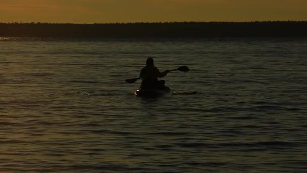 Mulher Desliza Paddleboard Durante Pôr Sol Tranquila Hora Ouro Lago — Vídeo de Stock