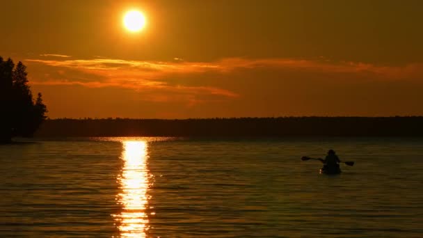 一个女人的轮廓在一个Sup板上航行 在金色的落日下划桨 站起来划桨 积极参加湖畔的文娱和体育活动 积极休假 冥想和放松 — 图库视频影像