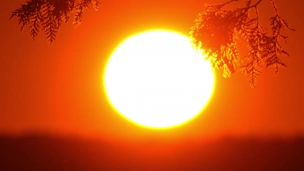 Słońce Zachodzi Pomarańczowo Żółtym Czerwonym Niebie Przedstawiając Epicką Scenę Słońcem — Wideo stockowe
