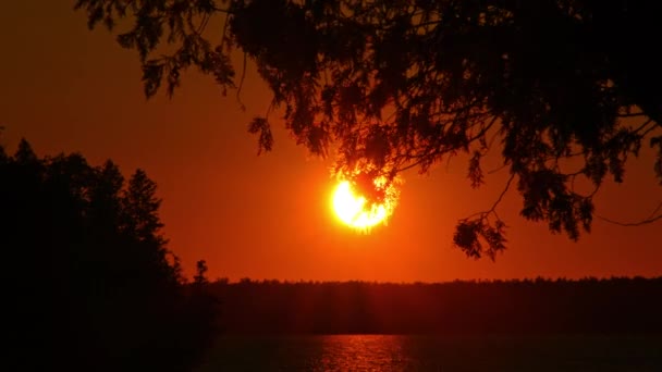 Slunce Zapadalo Oranžově Žluté Rudé Obloze Zobrazovalo Epickou Scénu Sluncem — Stock video