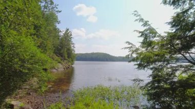 Bancroft 'taki sessiz göl, Kuzey Ontario, Kanada. Sulak alanların vahşi doğasının güzel sihirli manzarası. Sessiz sakin ve sakin bir meditasyon noktası. Yazın doğa manzarası.