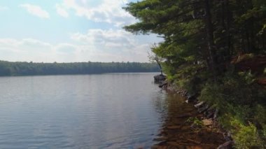 Bancroft 'taki sessiz göl, Kuzey Ontario, Kanada. Sulak alanların vahşi doğasının güzel sihirli manzarası. Sessiz sakin ve sakin bir meditasyon noktası. Yazın doğa manzarası.