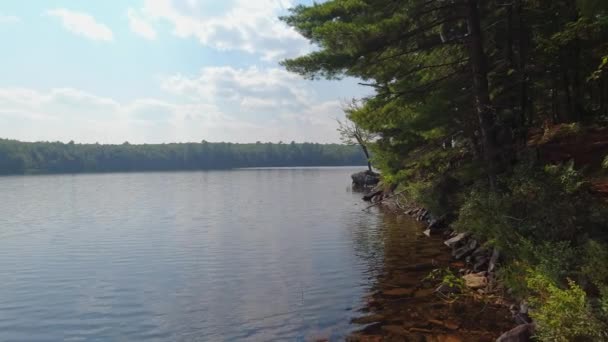 加拿大安大略省北部班克罗夫特安静的湖面 美丽迷人的湿地广袤的景色 宁静的冥想点 夏天的自然景观 — 图库视频影像