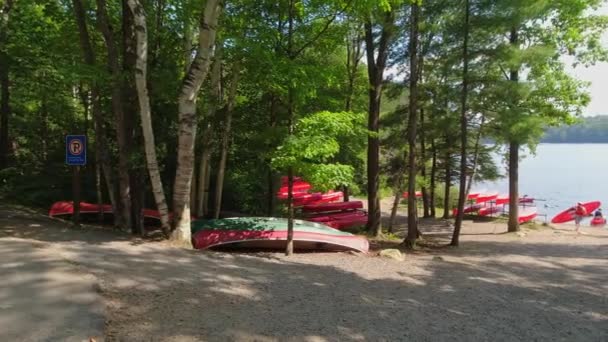 Alquiler Kayak Canoas Bancroft Ontario Del Norte Canadá Hermosa Magia — Vídeo de stock