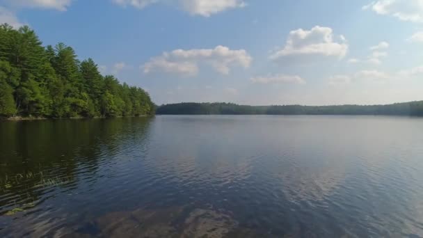 Безмолвное Озеро Бэнкрофте Северное Онтарио Канада Волшебный Вид Дикую Природу — стоковое видео