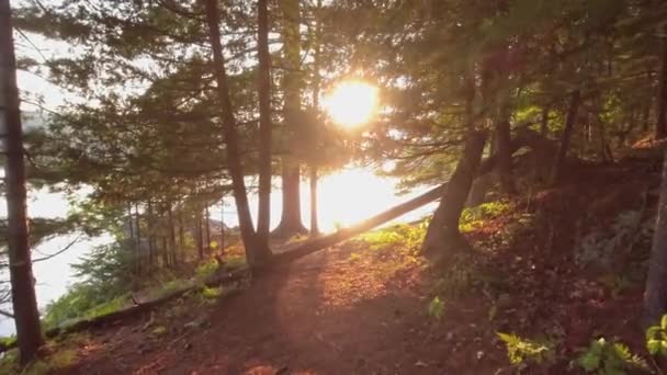 Пешком Лесам Около Тихих Вод Озера Бэнкрофте Северное Онтарио Канада — стоковое видео