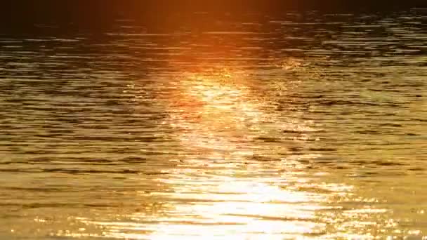 Отражение Солнечного Света Огонь Закат Солнца Золотой Час Над Поверхностью — стоковое видео