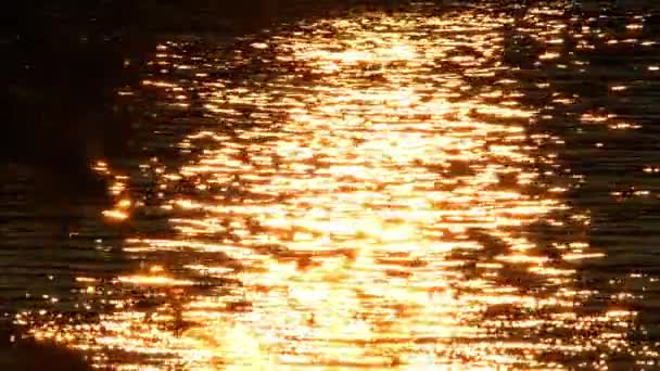Reflexion Des Sonnenlichts Wie Feuer Sonnenuntergang Und Goldene Stunde Über — Stockvideo