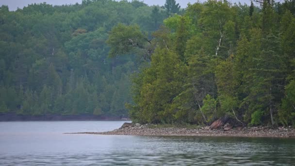 カナダ オンタリオ州北部マニトリン島のパイク湖 湿地の荒野の美しい魔法の広い眺め 静かで穏やかな瞑想スポット 夏の自然景観 雨の日 — ストック動画